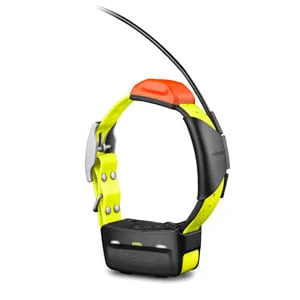 Garmin T5 Hundehalsband-Sender